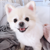 せいちゃん❤︎