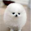 名無し