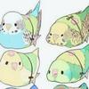 mako‪(๑•́o•̀๑) ↯↯