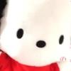 yuichi802🐰🌻