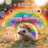 🦔⸒⸒るーmama🦔⸒⸒9/6🎂