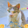 ぽん