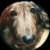 NANAMI