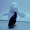 ゆしろう