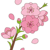ゆうすけすけ🍑🌸