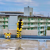 もも