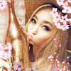 Nozo