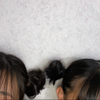 心愛