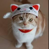 ちゃぴ