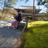 🌺📷なお📷🌺