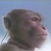 🐒saru🐵