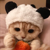 ユーザーアイコン