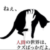 //かーくん
