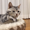 まさと