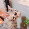 👼🏽つっしー️️️⛅️