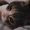 ゆーき