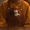 春