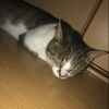 ひ