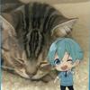 シャー芯　