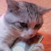 たにおり。(たにＧ)