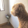 りり