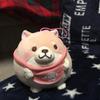 ポム🐶🍑🍡🐹♐✨