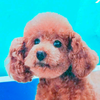 まーくん