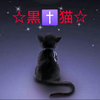 ☆黒🐈‍⬛猫☆