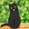mamoru