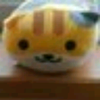 たまたま