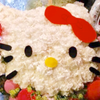‎キティ💖