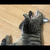 ユーザーアイコン