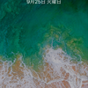 🌟🏝たくさん🏝🌟