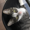 ユーザーアイコン