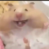 ハルセ