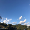 えりんぎ