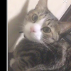 うらる