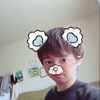🐨白竜🐨