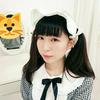 しろにゃん😻😻🐾