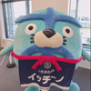 🧸ぶーちゃん🧸
