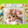  TAKA憩いの場🖼️🔮#ﾅﾙﾐｱｲﾍﾞﾝﾄ