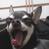 ともとも