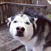 まこちゃ