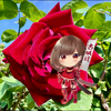 🌹🌹🌹🏰🙈❤️本家匿名