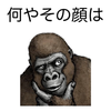 もとき