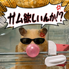 ふぁむら