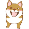 もっこ