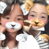 ひなとわ