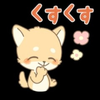 コン吉🕊🌻🤍