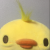 夢乃サブ垢